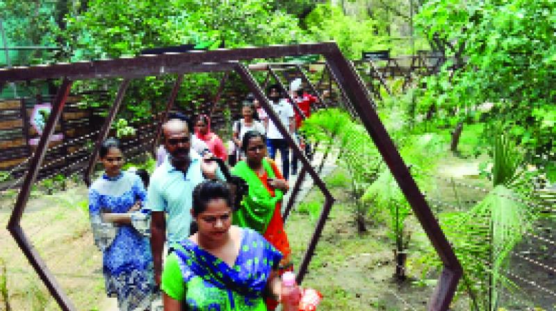 Revolving Tourists in Chhatbir Zoo