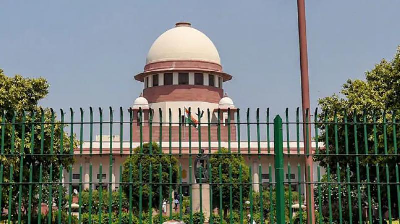 Supreme Court came forward to defend the indigenous breed of cow Supreme Court came forward to defend the indigenous breed of cow