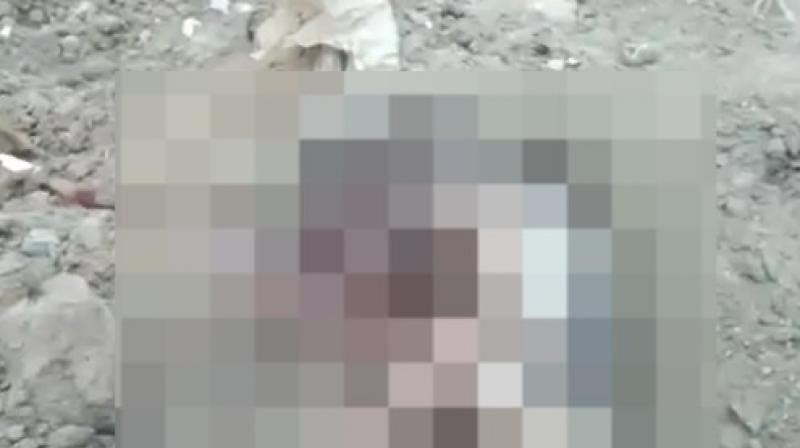 A 6 month old fetus was found in Jalandhar News in punjabi A 6 month old fetus was found in Jalandhar News in punjabi