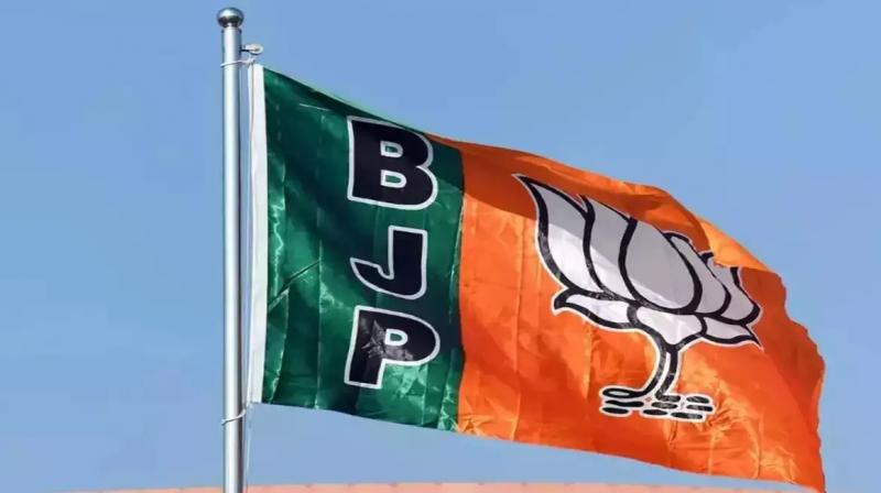 BJP BJP