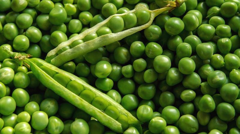 Peas Peas