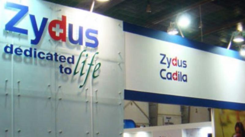 India approves Zydus Cadila's Covid-19 vaccine for emergency