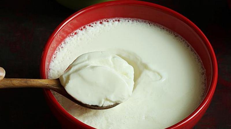 Benefits of curd Benefits of curd