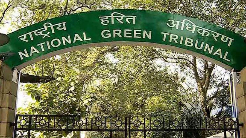 Ludhiana gas leak: NGT directs DM to give Rs 20 lakh to families of those killed Ludhiana gas leak: NGT directs DM to give Rs 20 lakh to families of those killed