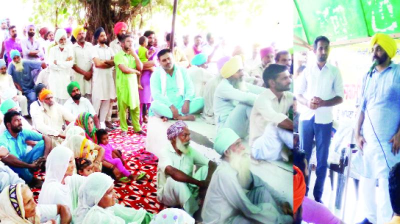 Captain-Badal on two sides of a coin: Bhagwant Mann Captain-Badal on two sides of a coin: Bhagwant Mann