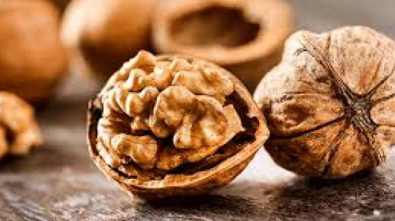 walnut walnut