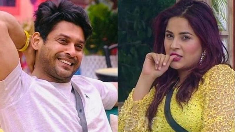 shehnaaz gill and Sidharth shukla shehnaaz gill and Sidharth shukla
