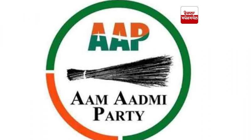 AAP logo AAP logo