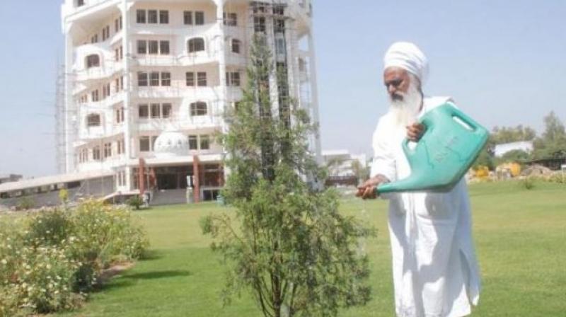 Baba sewa singh planted more than 4 lakh trees in 20 years in 4 states