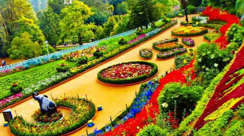 ooty ooty