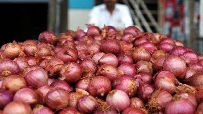 Onion tastes spoiled price reaches
