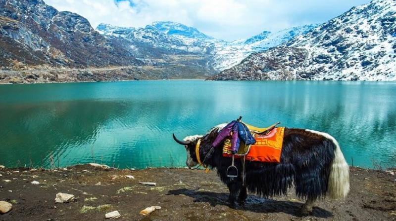 Sikkim Sikkim
