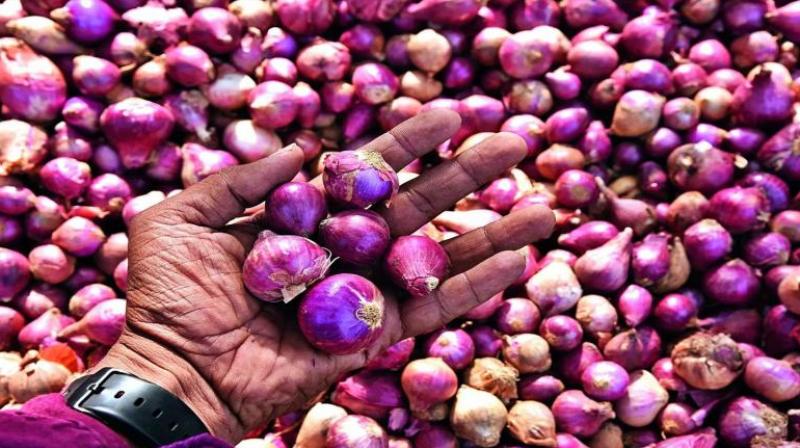 Onion exports: India lifts ban on sending onions out of the country Onion exports: India lifts ban on sending onions out of the country