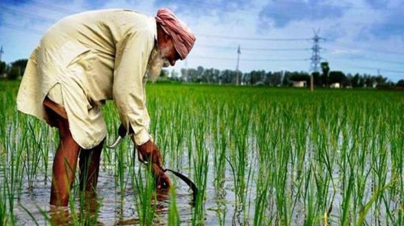 Common man's life Common man's life