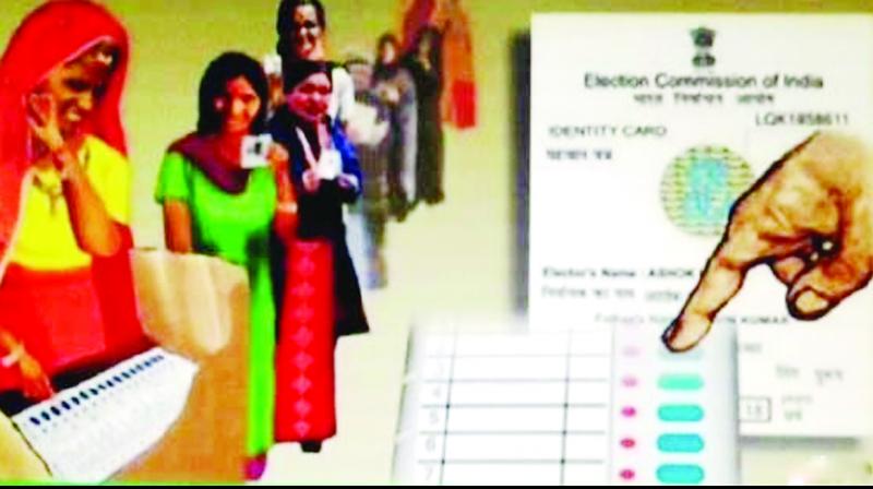 Election Election