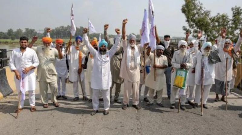 farmer protest