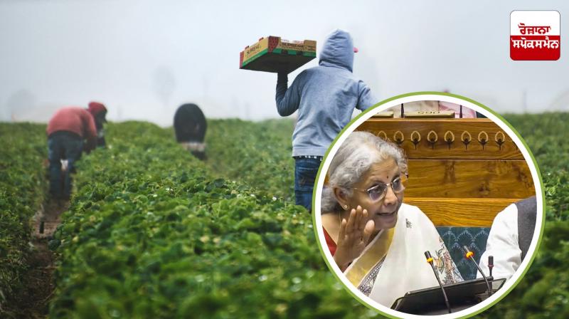 Modi government's big gift to farmers in the budget, Sitharaman made many announcements Modi government's big gift to farmers in the budget, Sitharaman made many announcements