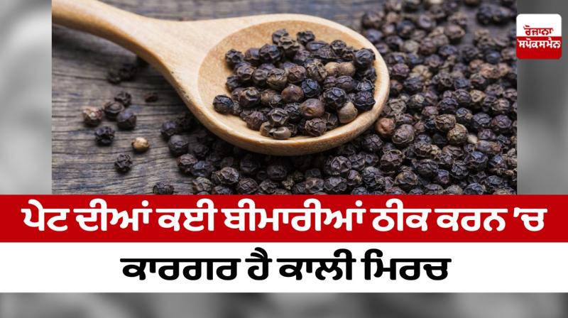 Black pepper is effective in curing many stomach diseases Black pepper is effective in curing many stomach diseases