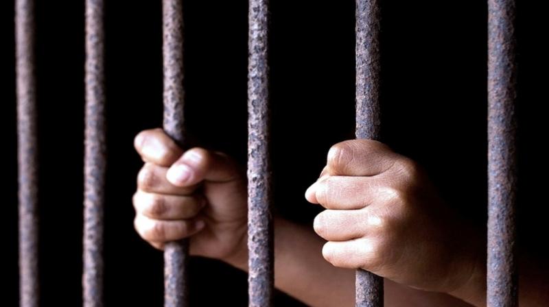 Court sentences Nigerian national to 12 years in jail for drug smuggling
