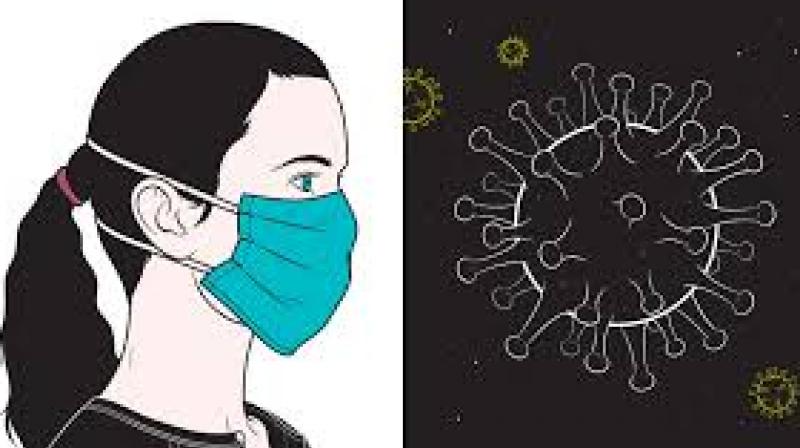 Corona Virus Corona Virus