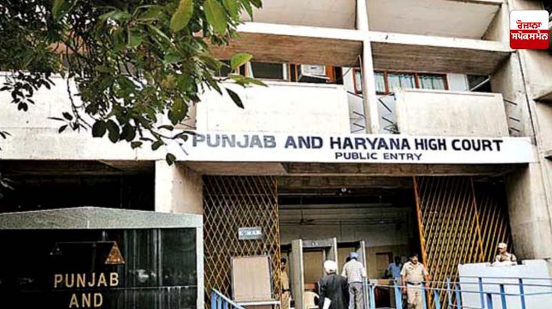 District level nodal officers to be appointed for the protection of lovers: High Court District level nodal officers to be appointed for the protection of lovers: High Court