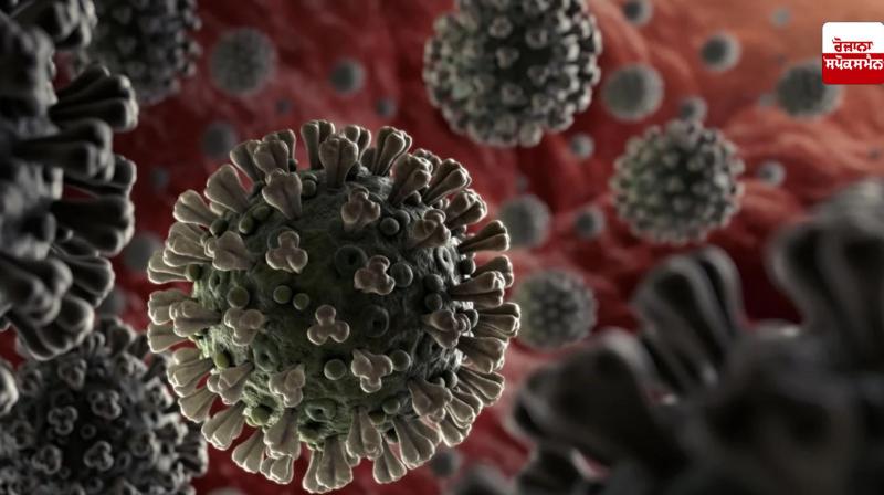 China New Virus News in punjabi China New Virus News in punjabi