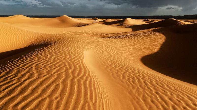 Sahara Desert Sahara Desert