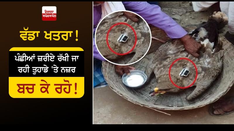 Suspicious bird recovered from shivhar camera tied on back Suspicious bird recovered from shivhar camera tied on back
