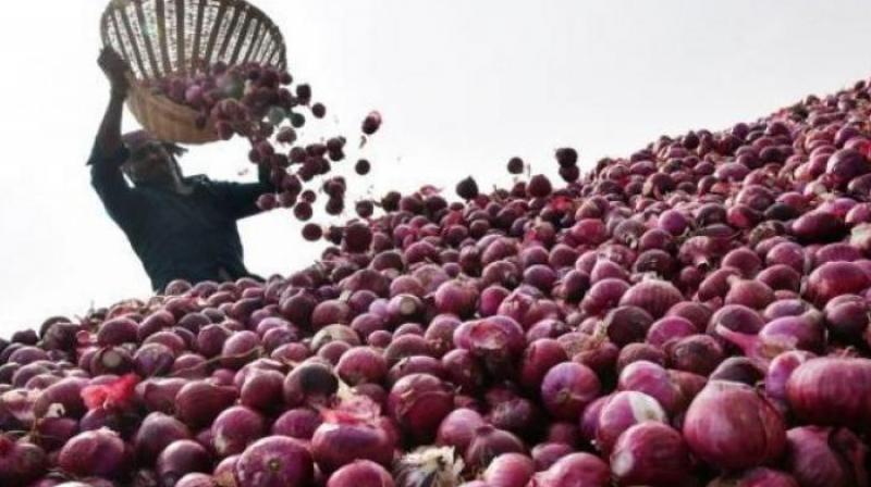 Onion traders cry foul over underpriced exports to UAE