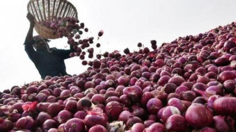 Onion traders cry foul over underpriced exports to UAE Onion traders cry foul over underpriced exports to UAE