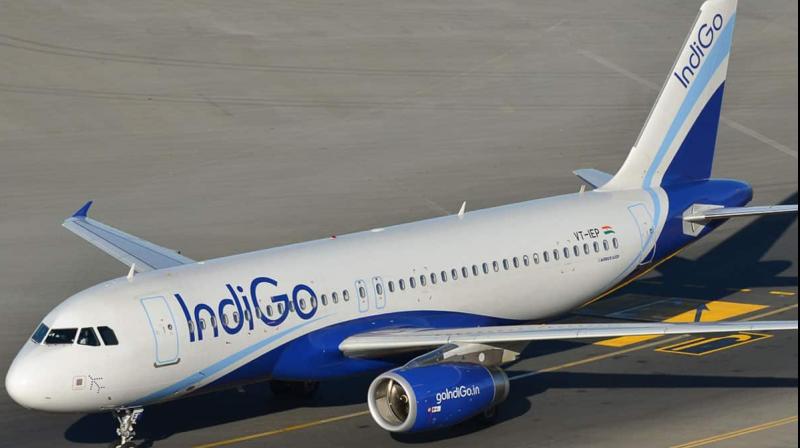 Indigo flight will now fly daily from Amritsar to Lucknow, earlier it used to fly three days a week Indigo flight will now fly daily from Amritsar to Lucknow, earlier it used to fly three days a week