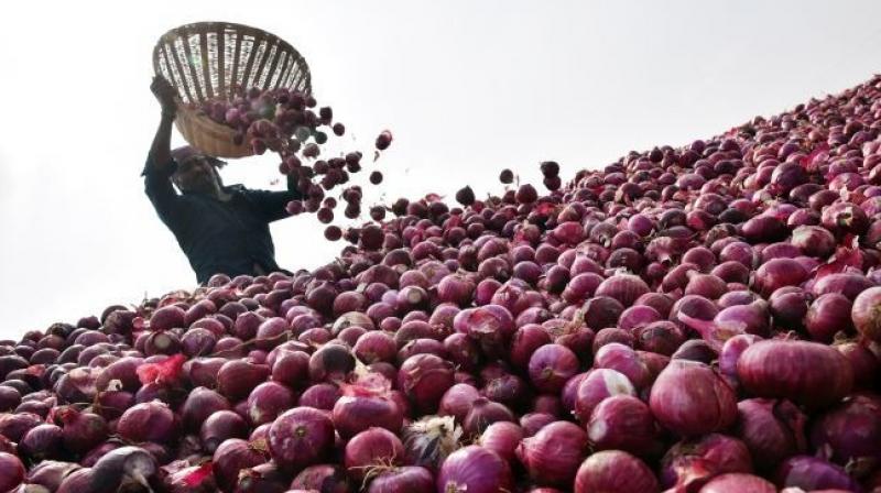 onions onions