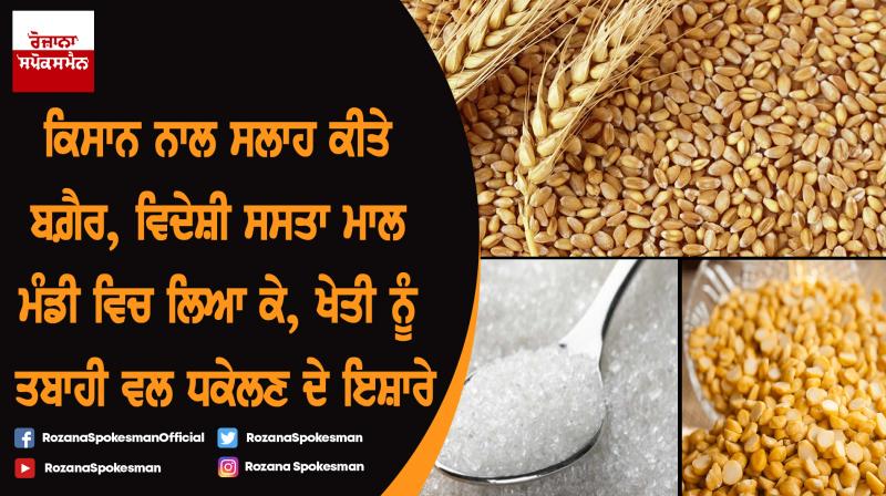 Wheat, Sugar and Pulses