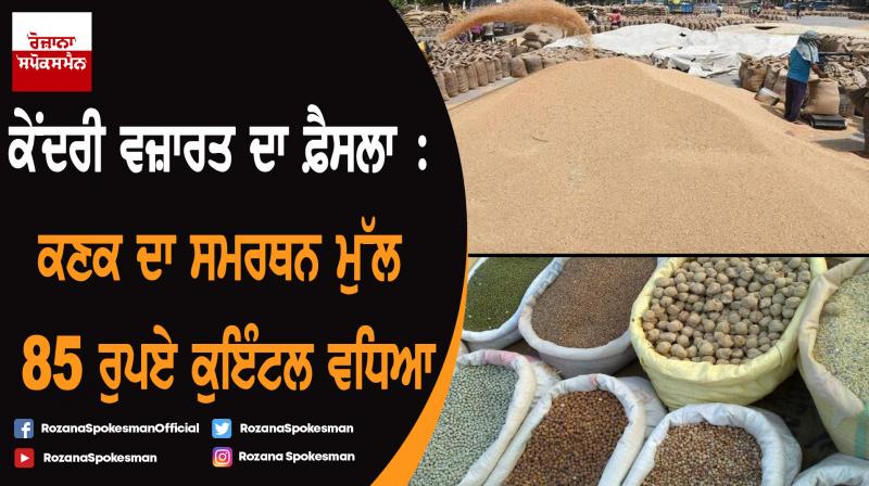 Government hikes MSP for wheat by Rs 85/quintal; pulses up to Rs 325/quintal Government hikes MSP for wheat by Rs 85/quintal; pulses up to Rs 325/quintal