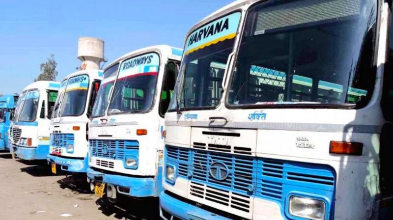 Haryana Roadways Haryana Roadways