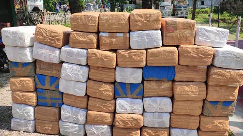 Assam Police busting 590 kg cannabis tweet dont panic we found it