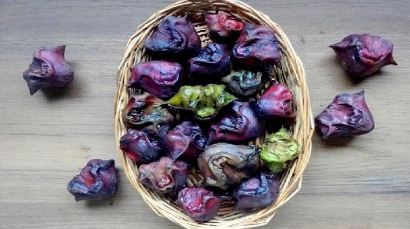 Eat 'Kachcha Singhara' daily in winter, you will be surprised to know the benefits. Eat 'Kachcha Singhara' daily in winter, you will be surprised to know the benefits.