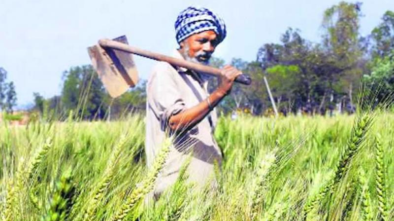 Kissan Kissan