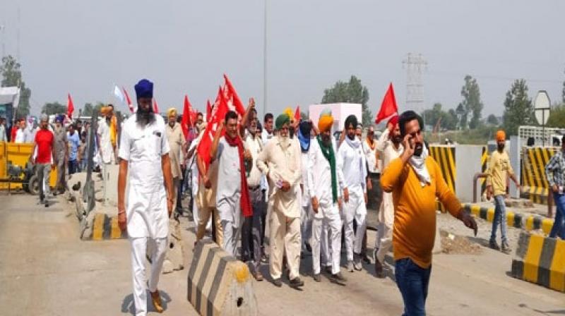 farmer protest farmer protest