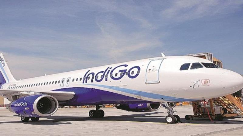 IndiGo IndiGo