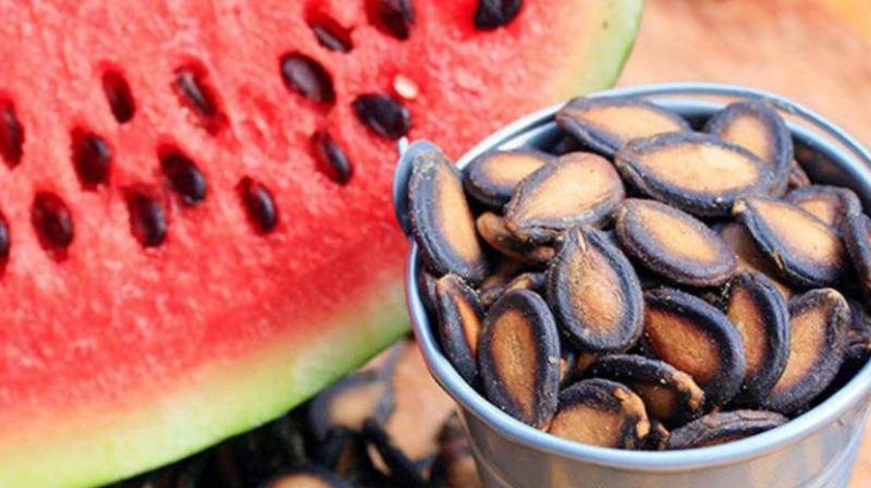 Watermelon seeds are very beneficial for heart patients Health News Watermelon seeds are very beneficial for heart patients Health News