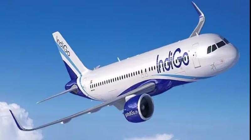Indigo Flight Indigo Flight