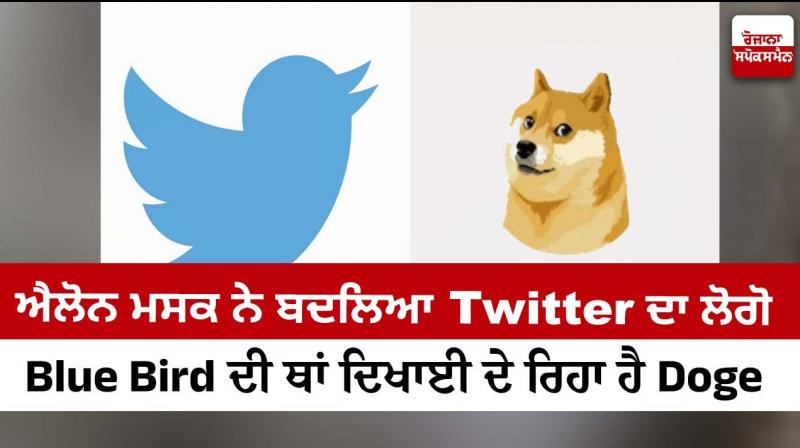 Elon Musk changed Twitter logo to Doge