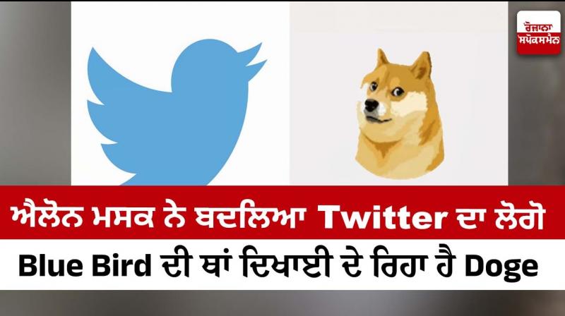 Elon Musk changed Twitter logo to Doge Elon Musk changed Twitter logo to Doge