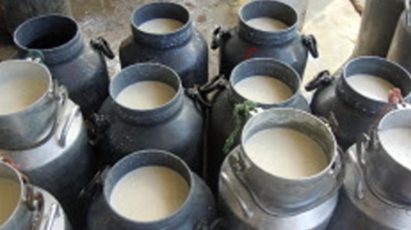 milk milk