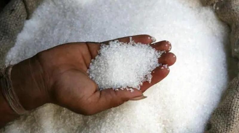 Sugar output down 11% at 74 lakh ton during October 1-December 15 of 2023-24 market year Sugar output down 11% at 74 lakh ton during October 1-December 15 of 2023-24 market year