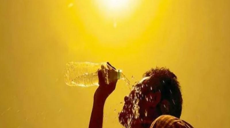 heat wave in punjab