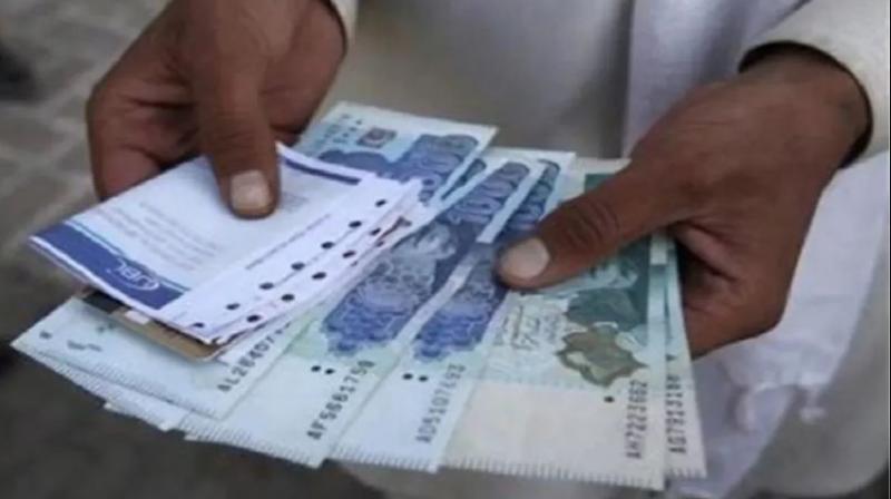 Pakistan debt 2024