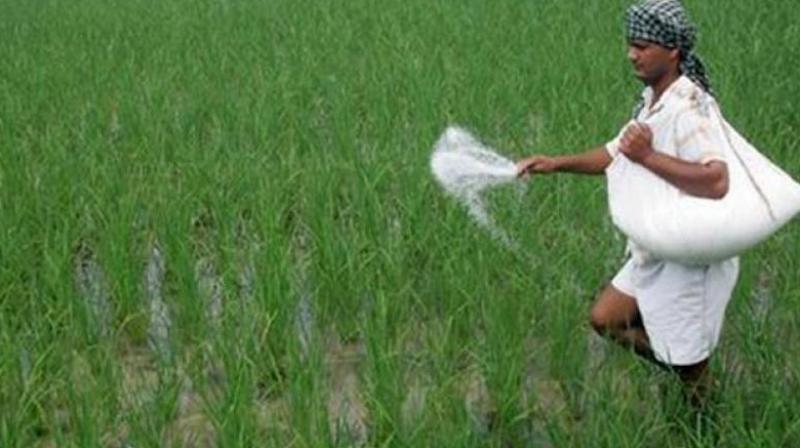 FARMER FARMER