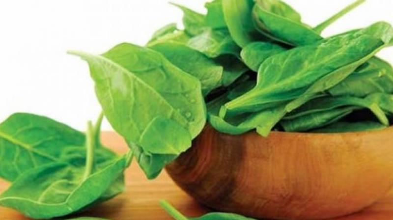 Spinach Spinach